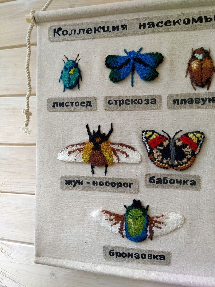 жук листоед, жук плавунец, жук носорог, бабочка , декор из насекомых